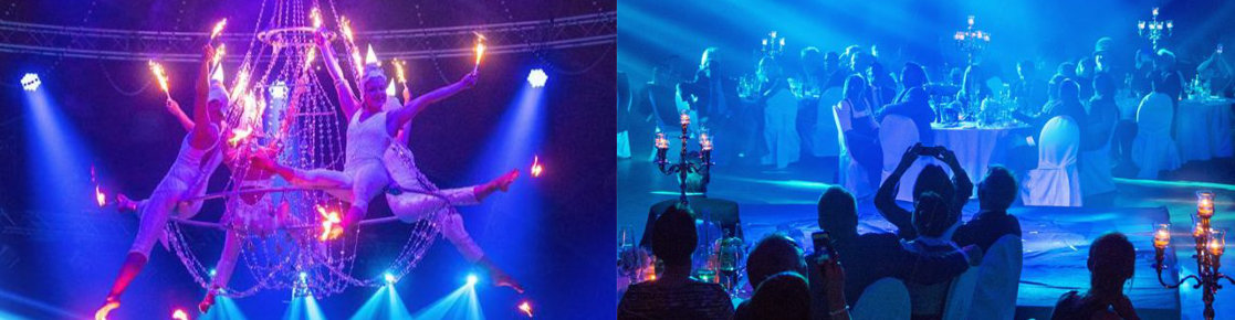 Danza Furiosa Company