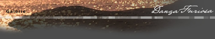 Feuershow Titelleiste